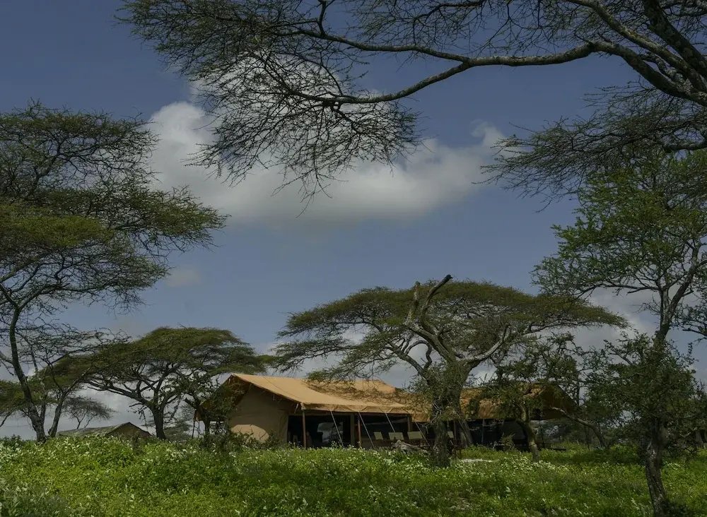 The Royal Migration Camp - All Inclusive