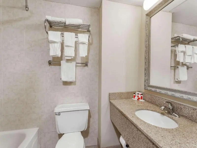 Standard Double room (twin beds)
