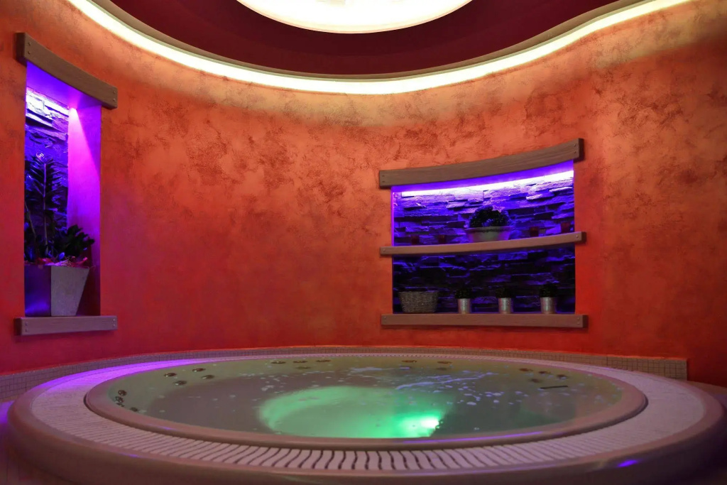 Hotel Palcát Congress & Wellness Hotel - Général