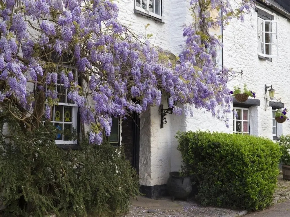 Old Church House Inn