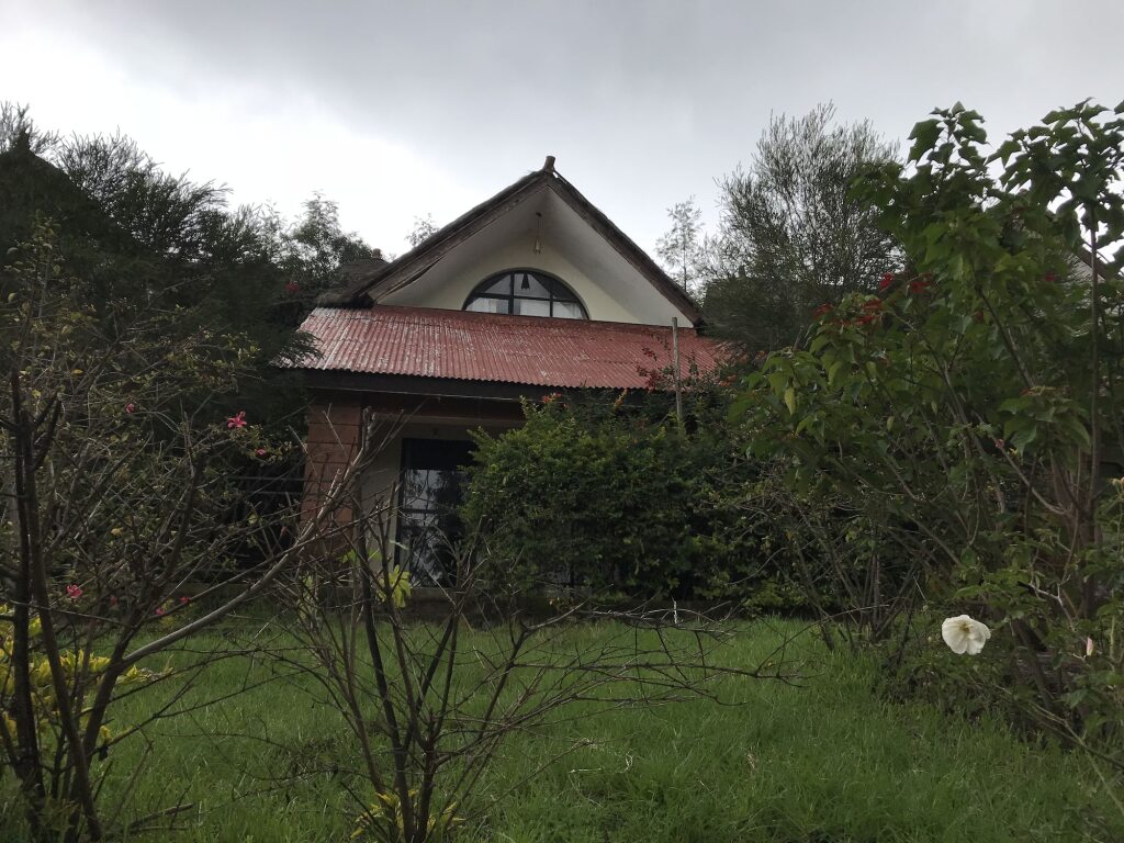 Image 11