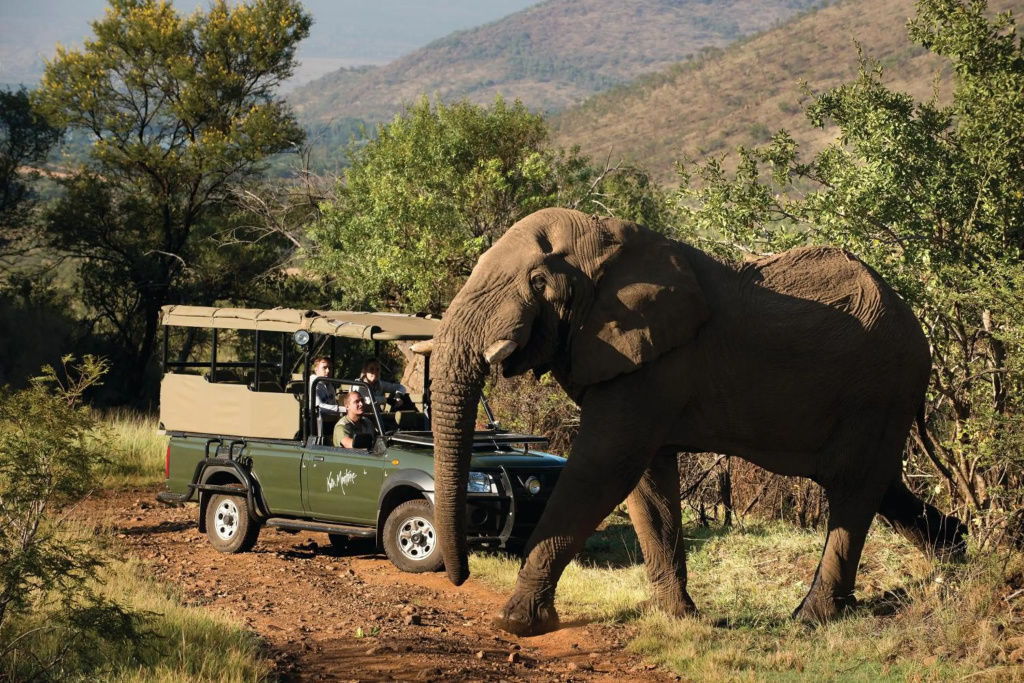Kwa Maritane Bush Lodge