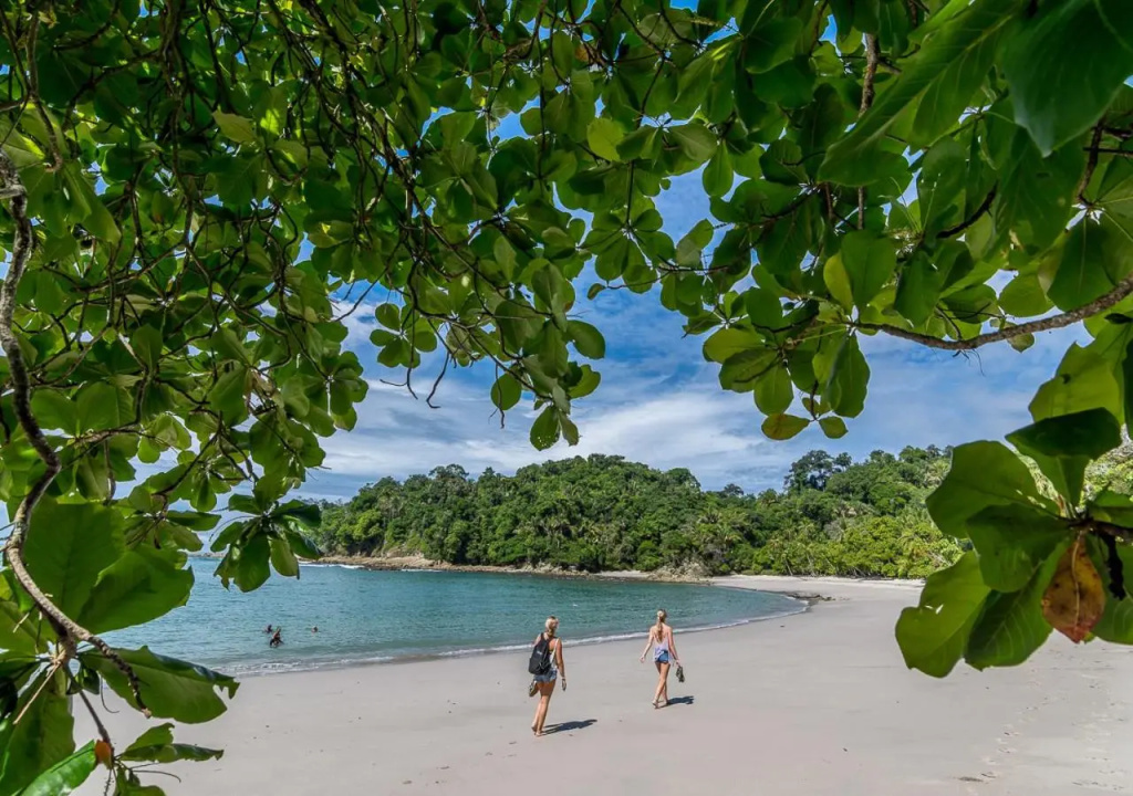 Hotel Manuel Antonio - Général
