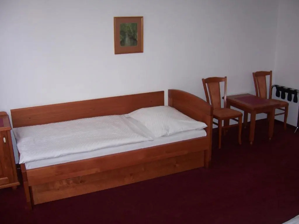 Hotel Pegas Brno - Chambres