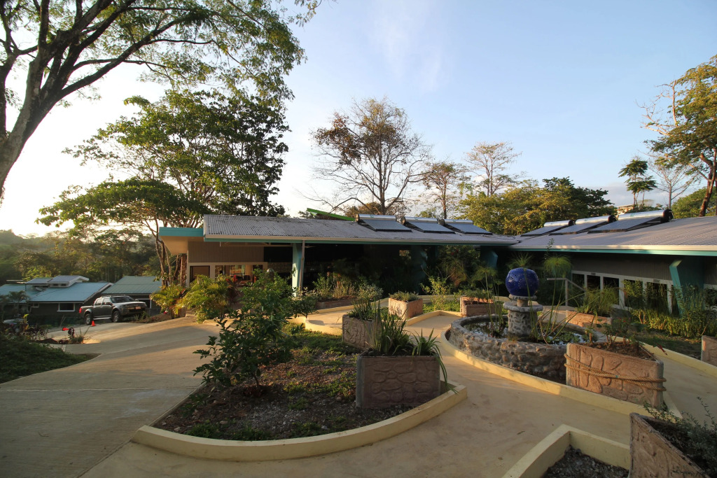 Teva Jungle Hotel by null