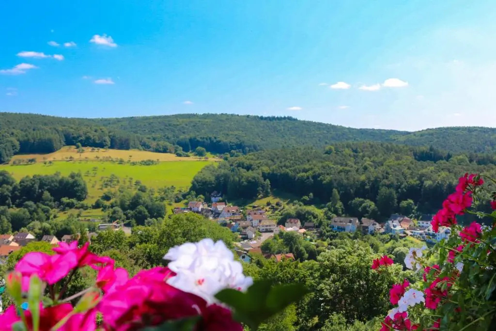 PANORAMA Hotel Heimbuchenthal