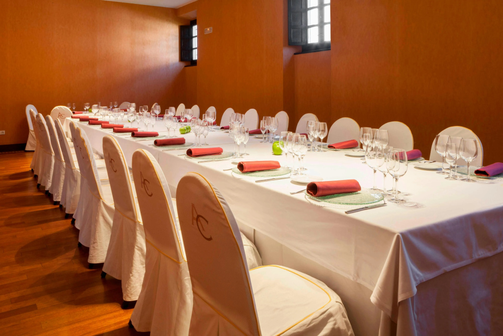 AC Hotel Palacio de Santa Ana by Marriott - Général