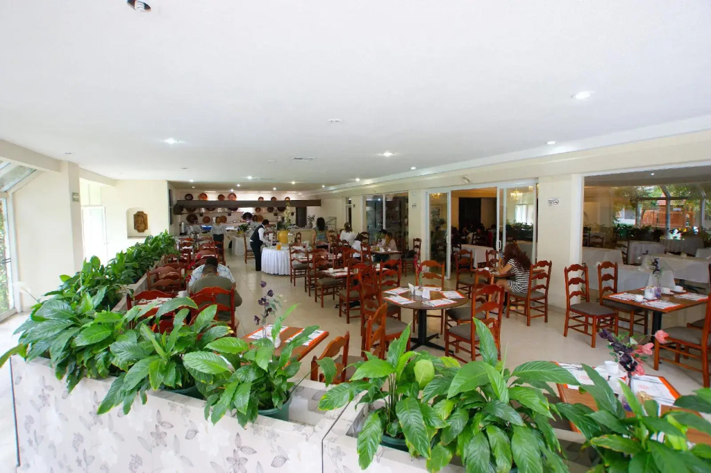 Hotel Real de Minas San Luis Potosi - Général