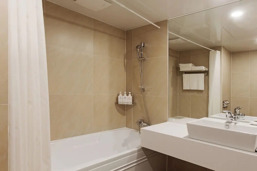 Standard Double room with city view (full double bed)