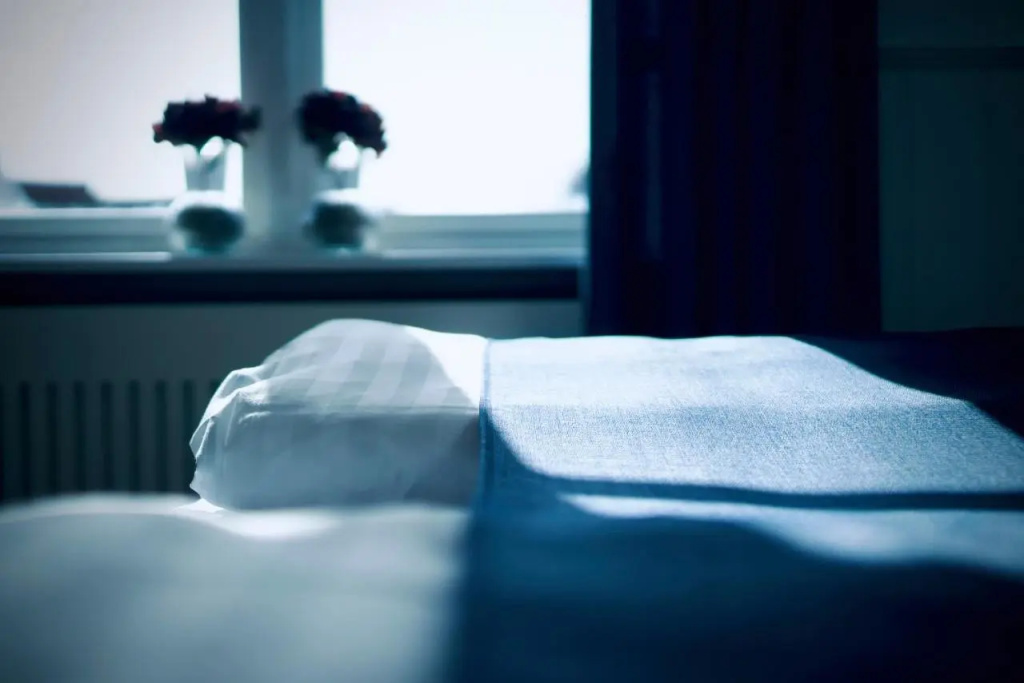 Plesners Badehotel - Général
