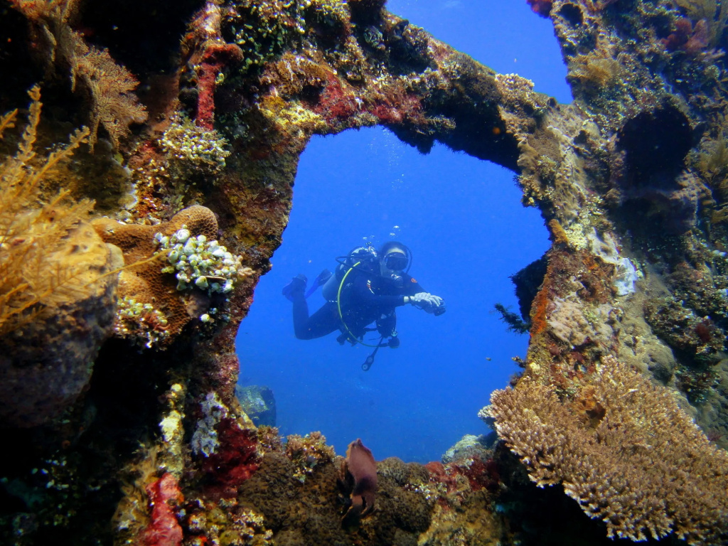 Arya Amed Beach Resort and Dive Center - Général