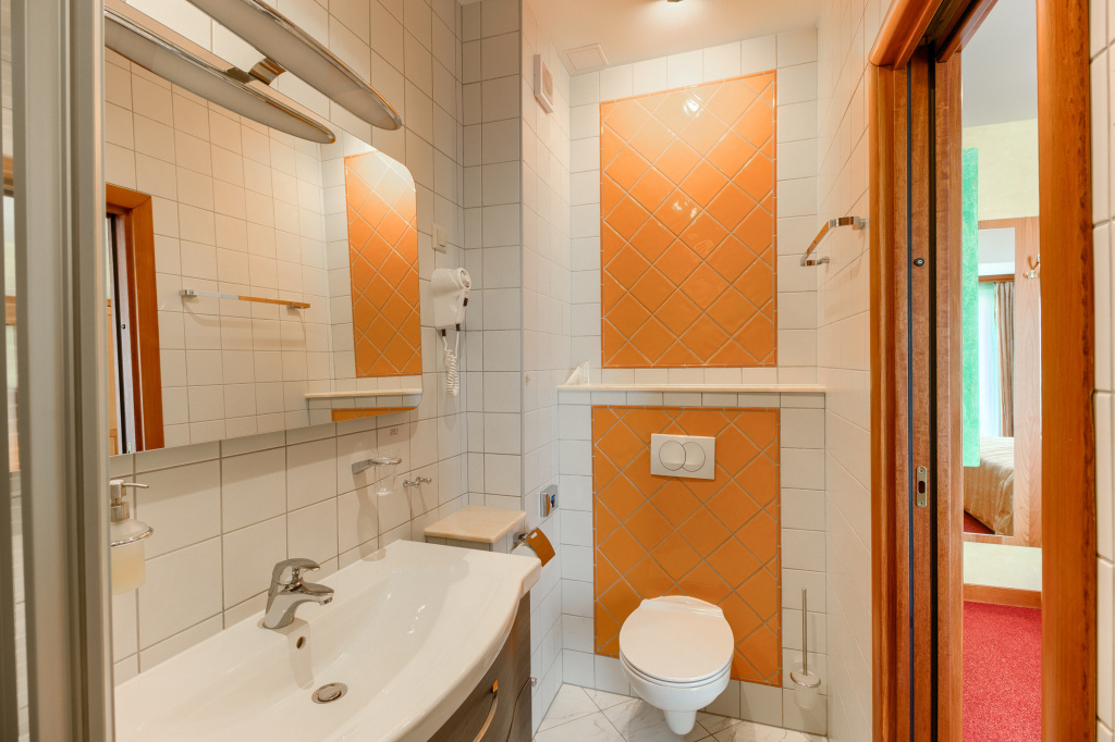Hotel Villa Dvor - Général