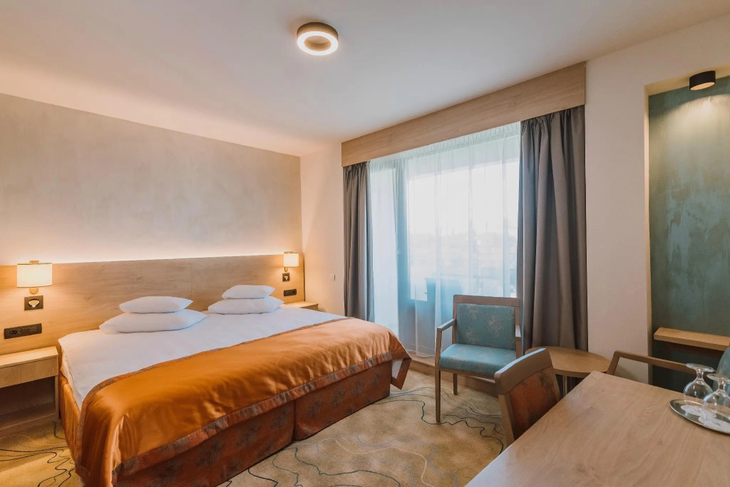 Standard Double room (full double bed)