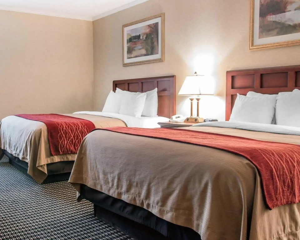 Wingate by Wyndham Livonia - Général