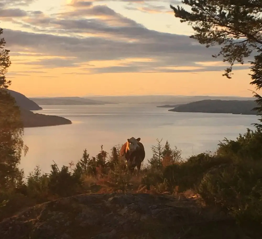 High Standard In Nature One Hour From Oslo Fantastic Wiews - Family Friendly