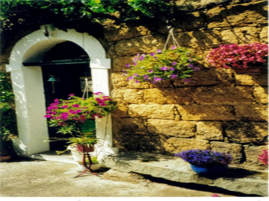 L'orca Di San Gavinu