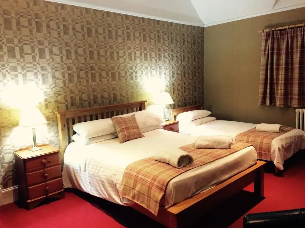 The Panmure Arms Hotel - Général