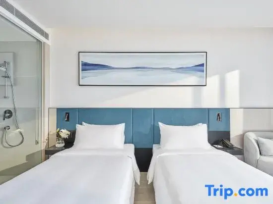 Standard Double room with balcony and with mountain view (twin beds)