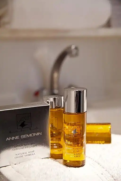 Grand Tonic Hôtel & SPA Paris 39