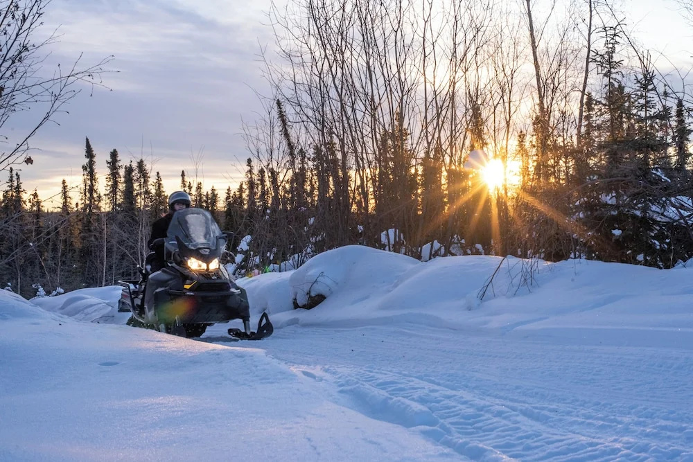 Borealis Basecamp — 2