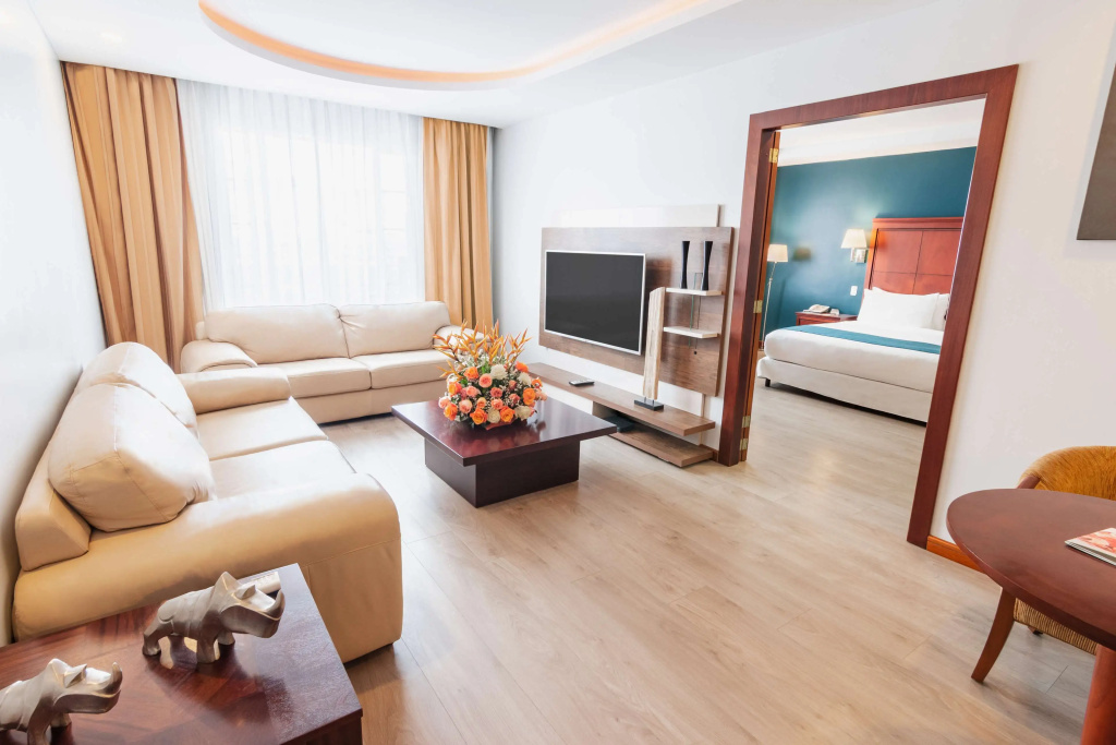 Standard Double room with city view (full double bed)