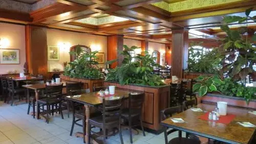 Hotel Rebstock - Général