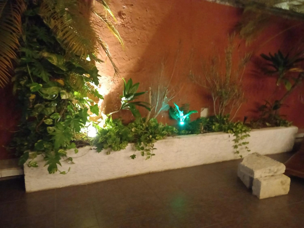 Hotel photo 24