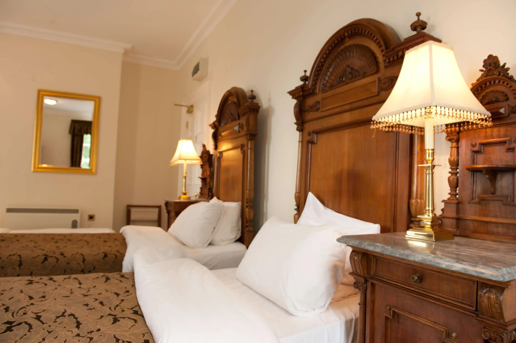 Deluxe Double room (twin beds)
