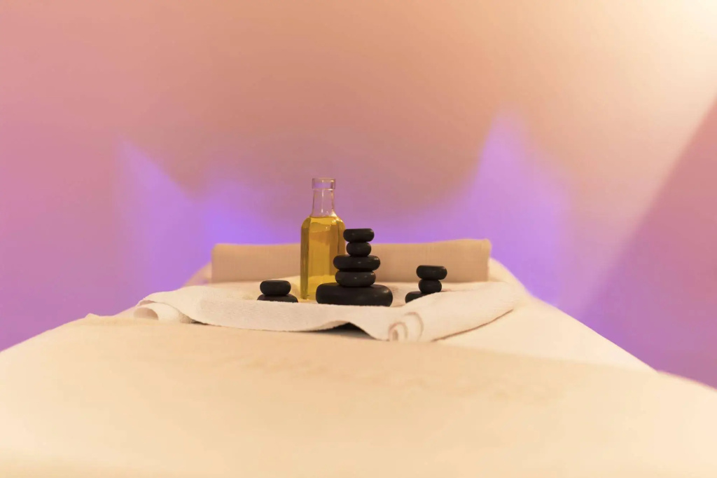 Wellness Hotel Montis - Général