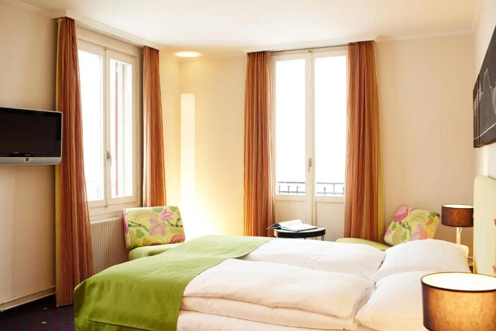 Standard Double room with city view (full double bed)