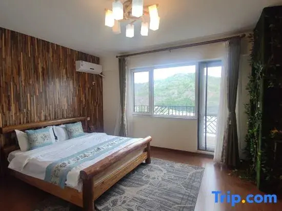 Standard Double room with city view (full double bed)