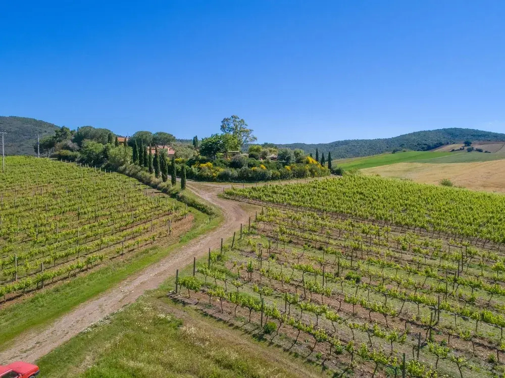 Agriturismo Torribasse - фото 8