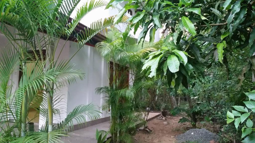 Mahawewa Nature Resort
