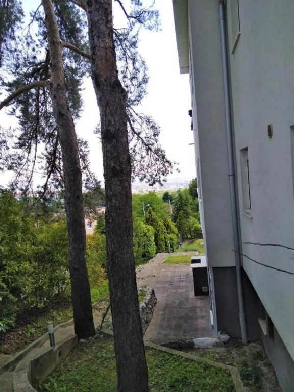 Hotel photo 42