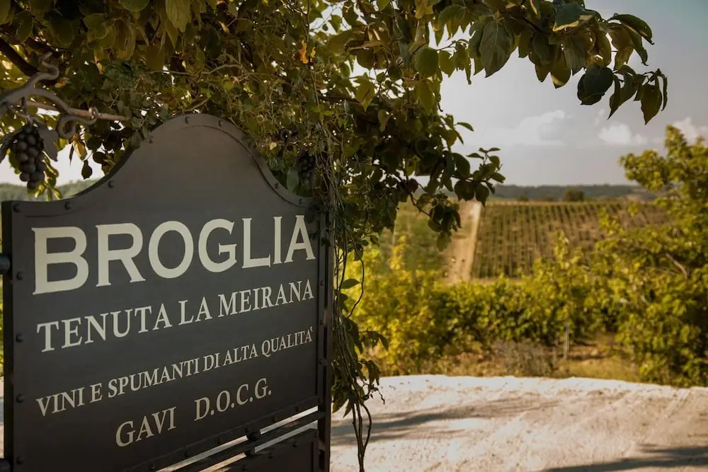 La Tenuta La Meirana