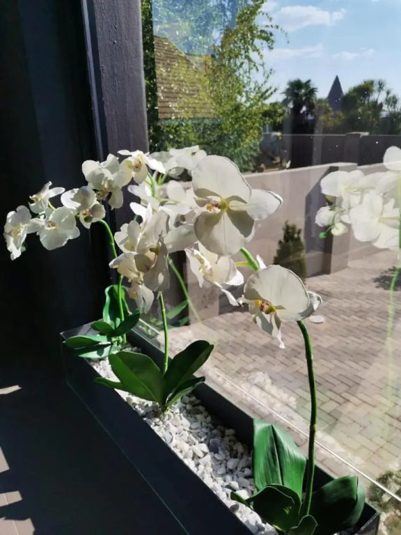 Hotel photo 31