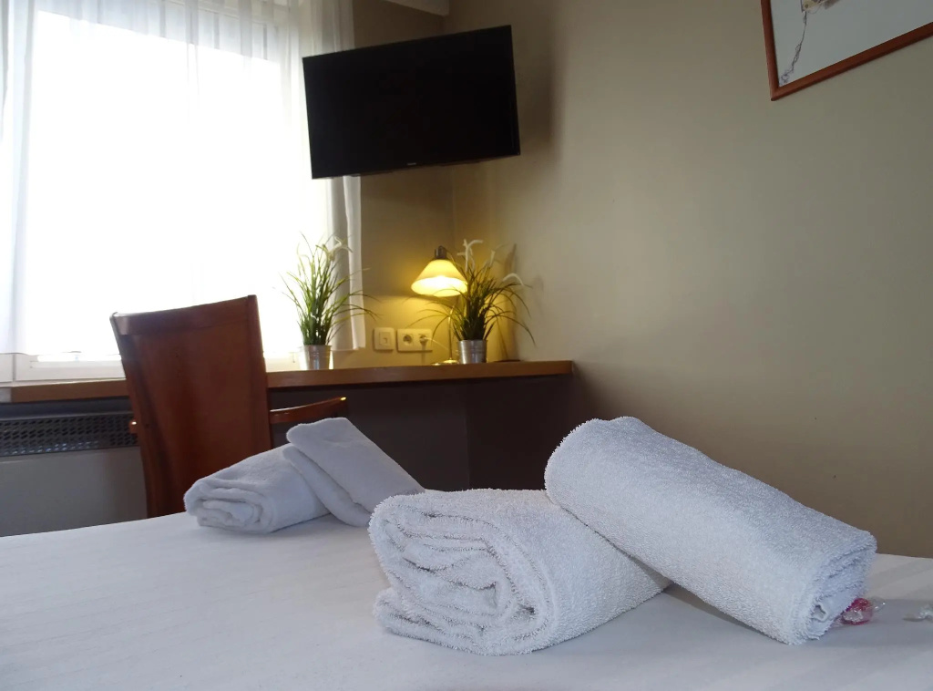 Standard Double room (full double bed)