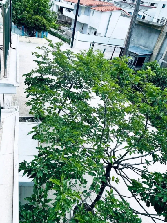 A & A Apartments 2