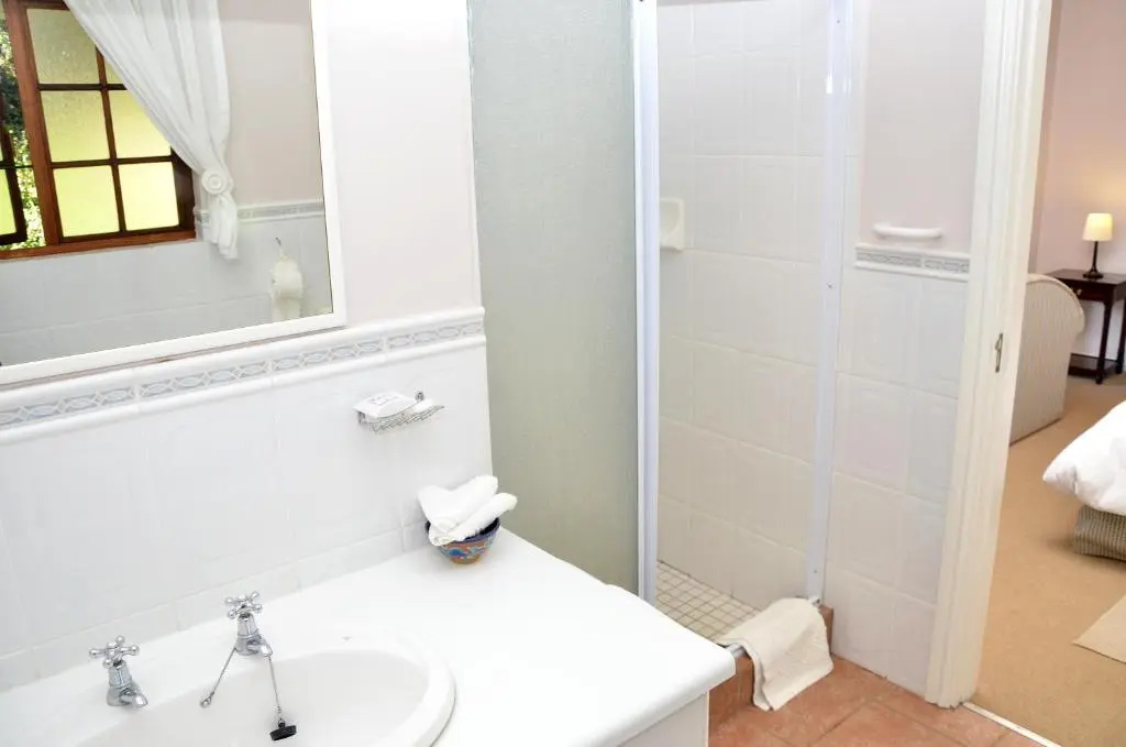 Standard Double room with mountain view (full double bed)