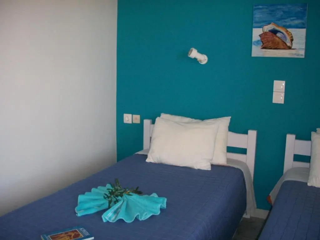 Standard Double room (twin beds)
