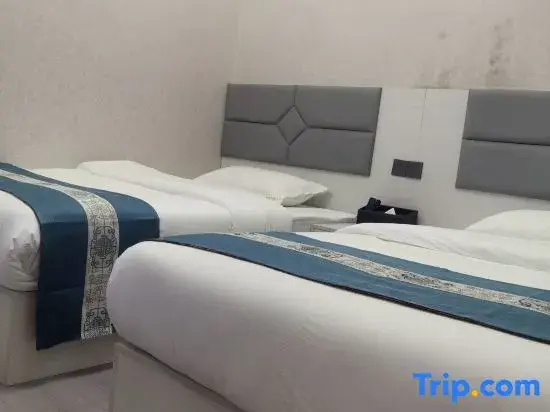 Deluxe Double room (twin beds)