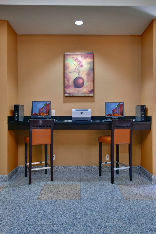 Holiday Inn & Suites Windsor Ambassador Bridge by IHG - Général