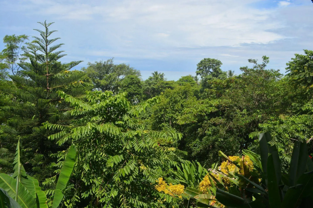 The Lookout Inn Lodge - фото 25