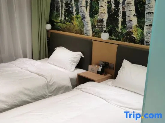 Comfort Double room (twin beds)