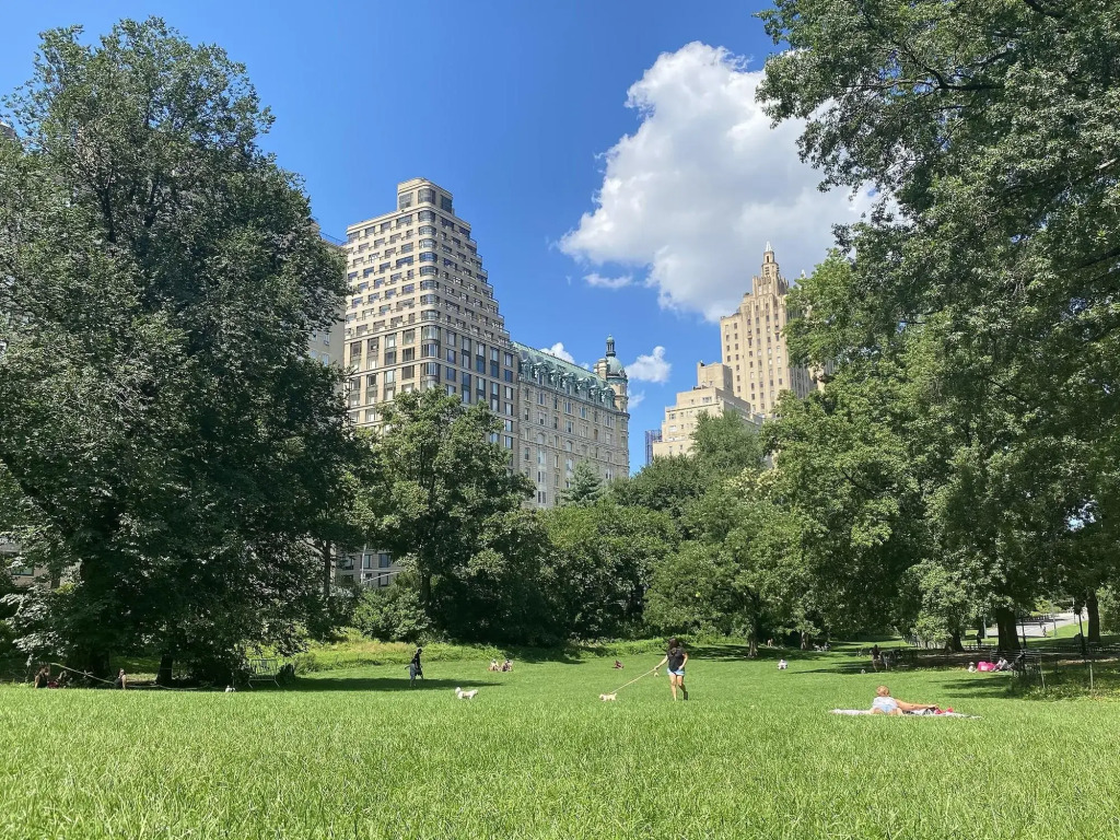 Nap York Sleep Station - Central Park 24/7 by null