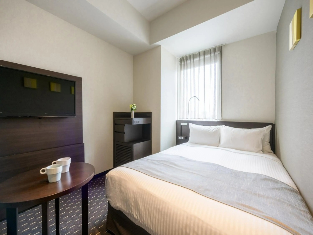 Akihabara Washington Hotel - Général
