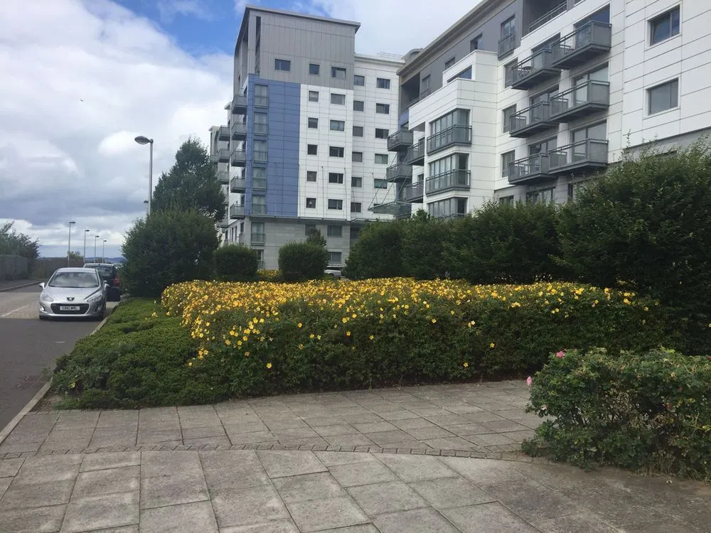 Stylish Garden View Apartment