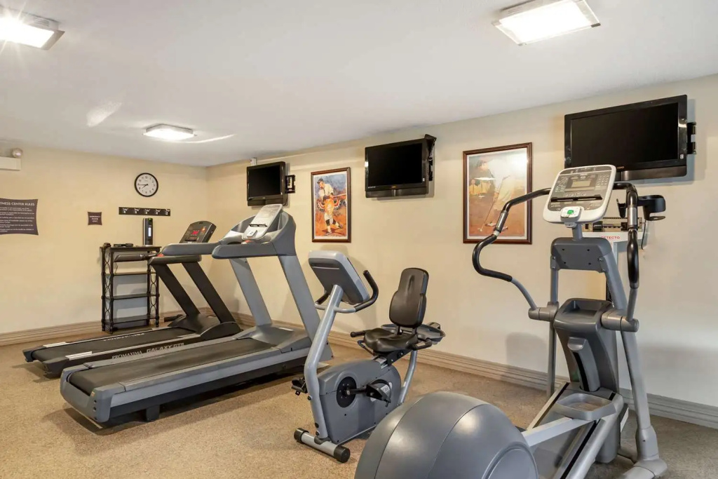 Best Western Plus Madison-Huntsville Hotel - Général