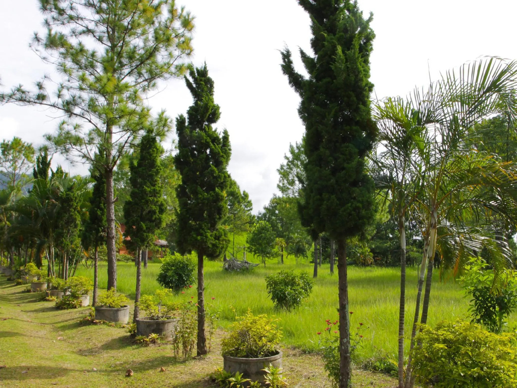 Phucome Resort - фото 9