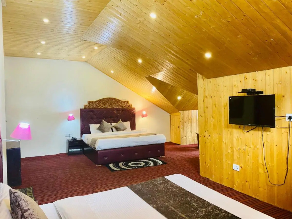Hotel Hadimba Palace Manali - Général